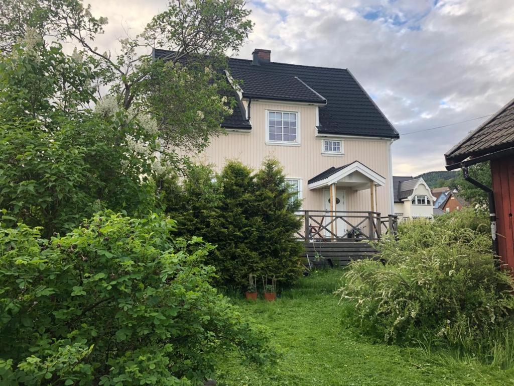 Central, Large And Light Apartment In The Middle Of The City Lillehammer Exteriör bild